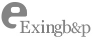 exingb_p